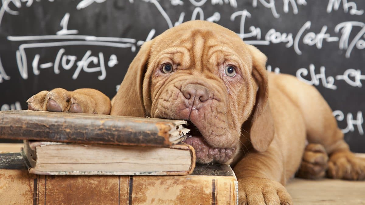 Course: intermediate / Unit 10