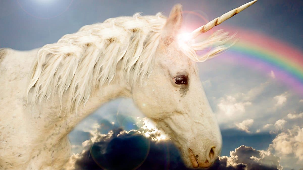 6 Minute English / Unicorns