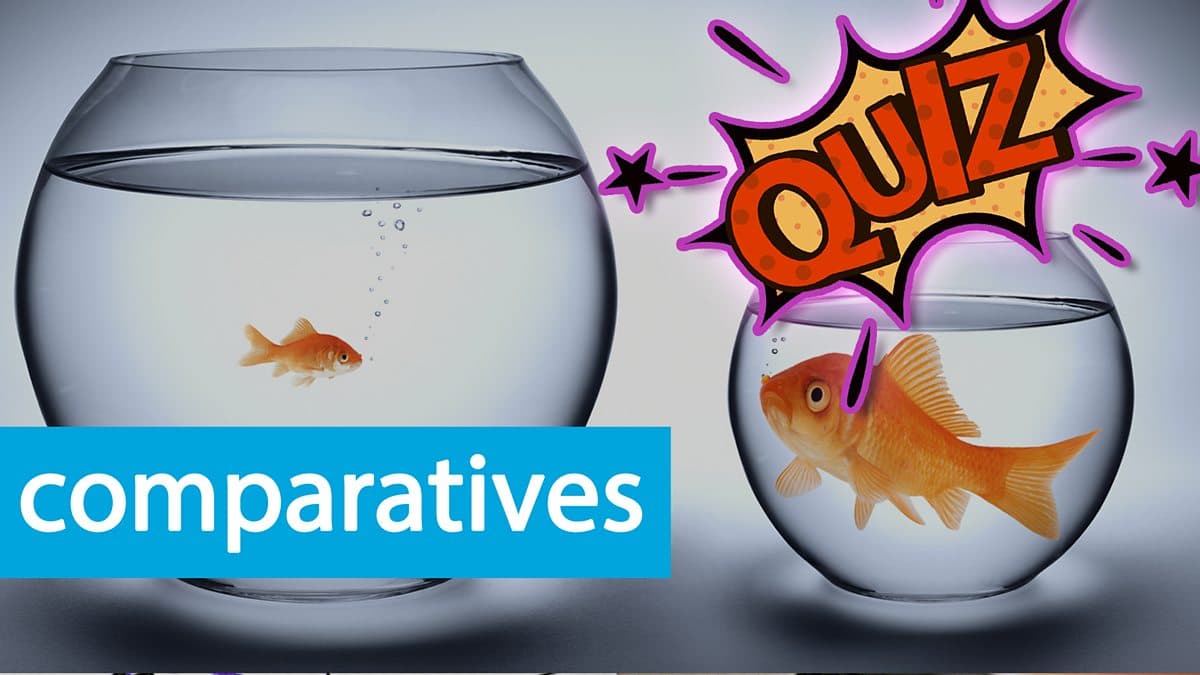 Course: Quizzes / Unit 1 / Session 8 / Activity 1