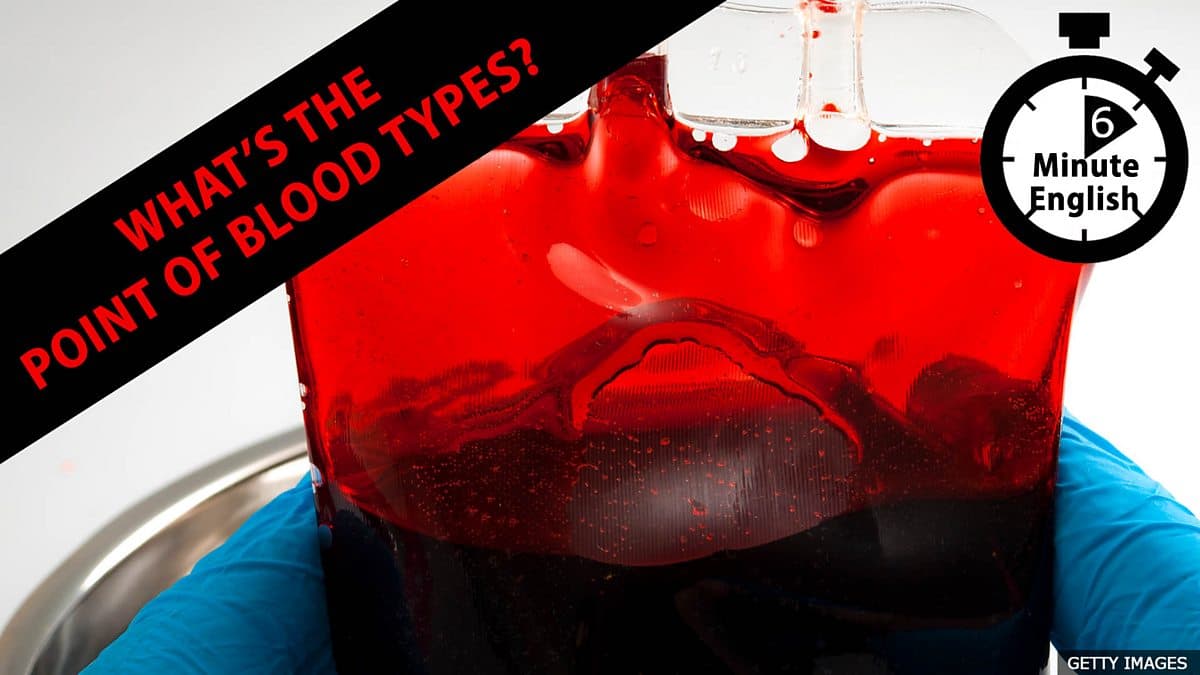 6 Minute English / What’s the point of blood types?