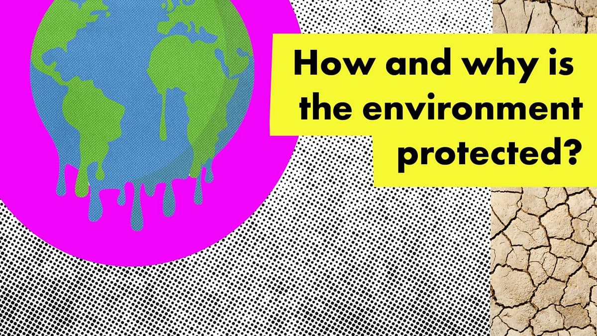 Environment - International Law / How and why is the environment protected?