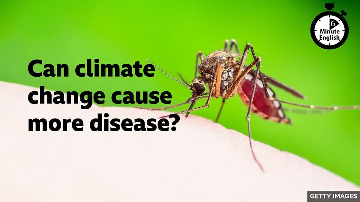 6 Minute English / Can climate change cause more disease?