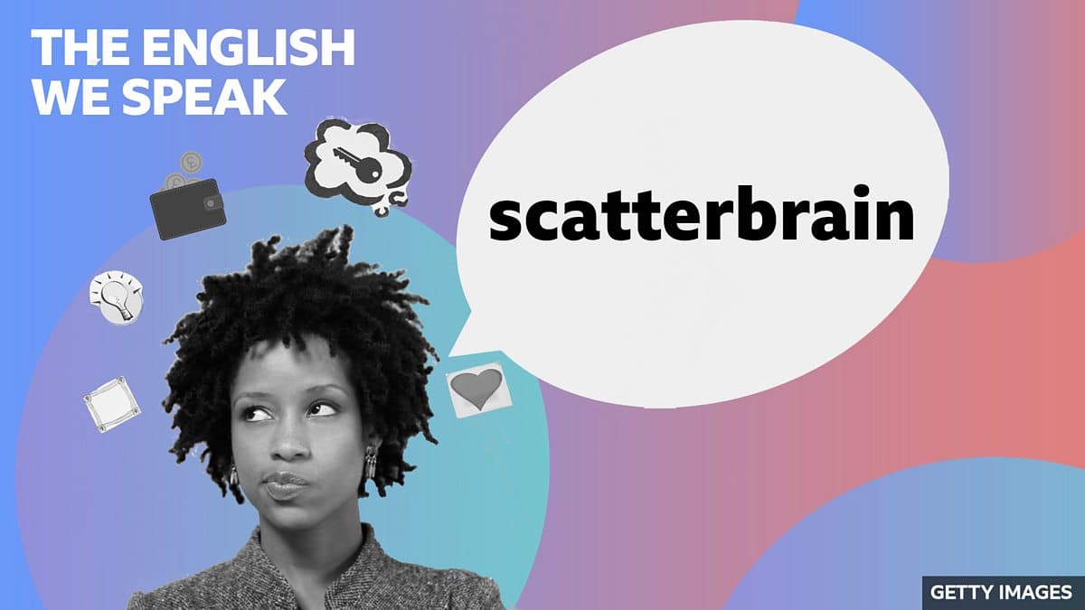 The English We Speak / Scatterbrain