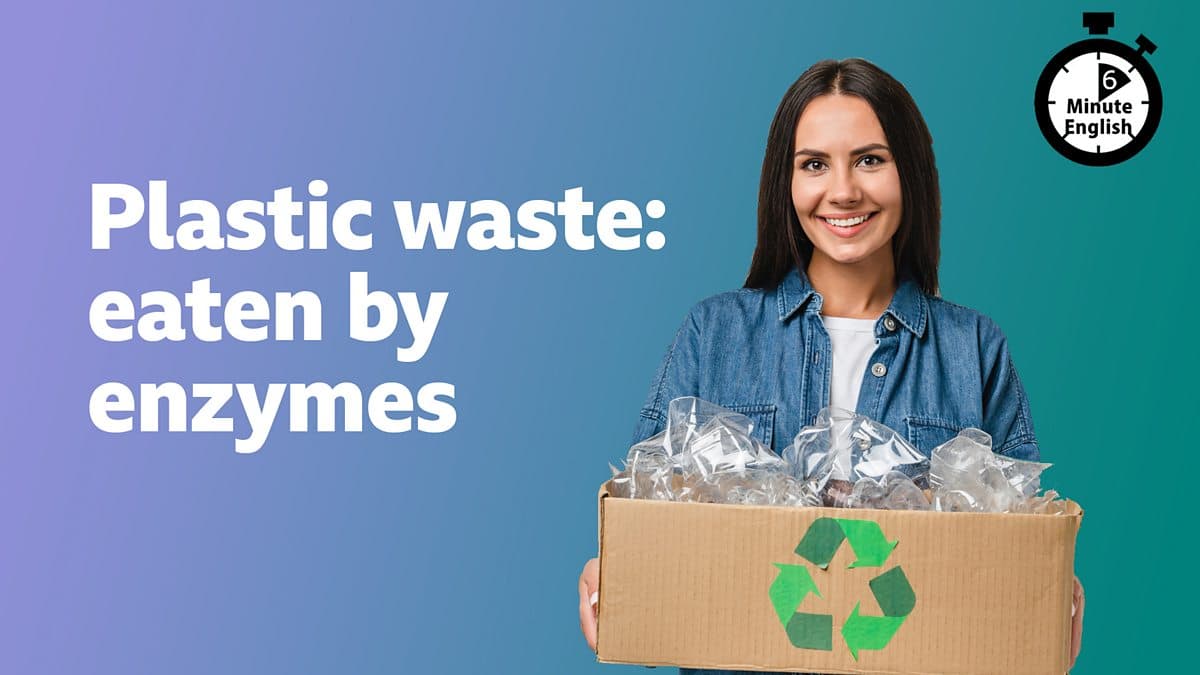 6 Minute English / Plastic waste eaten by enzymes