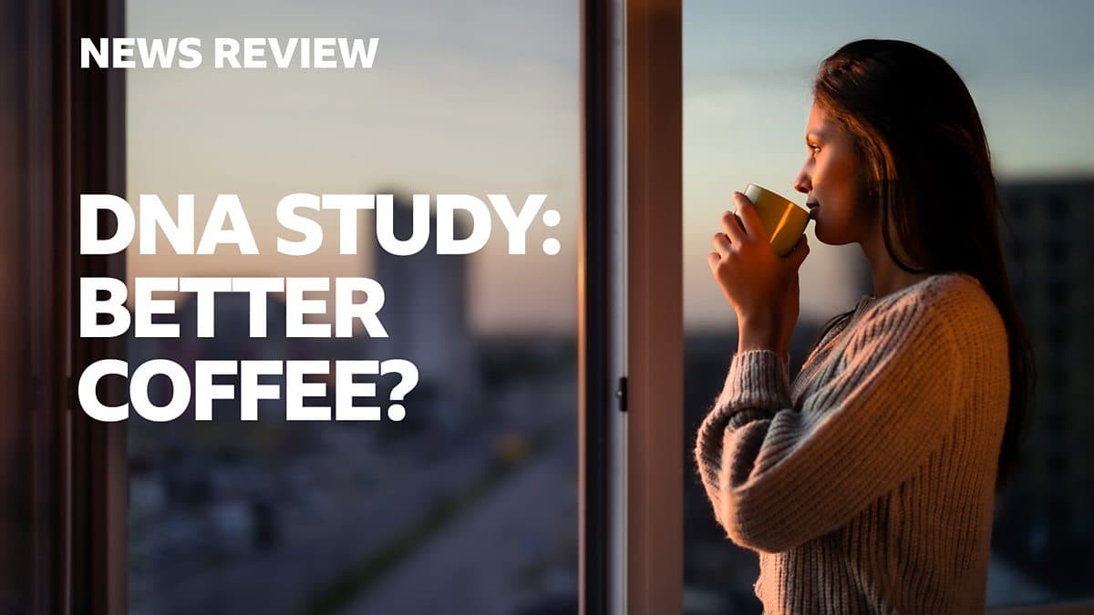 Course: News Review / Unit 1 / Session 1 / Activity 1