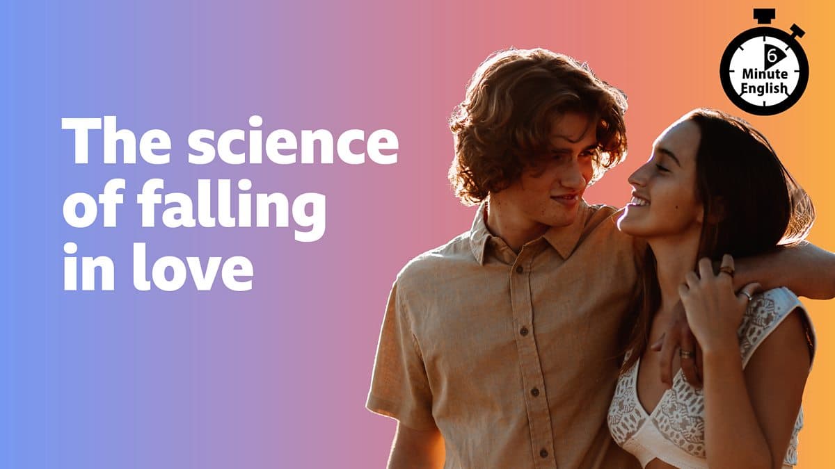 6 Minute English / The science of falling in love