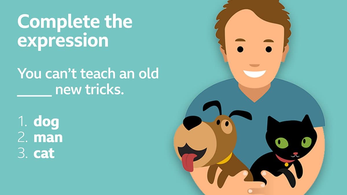 Quizzes / Complete the expression