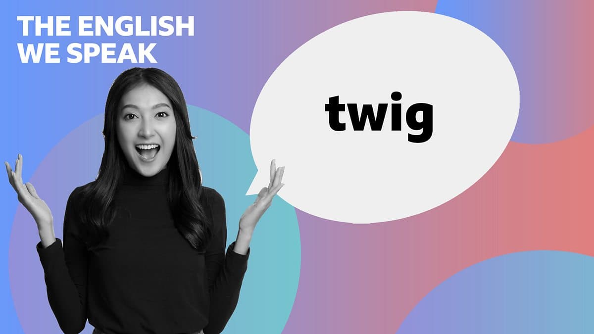 The English We Speak / Twig