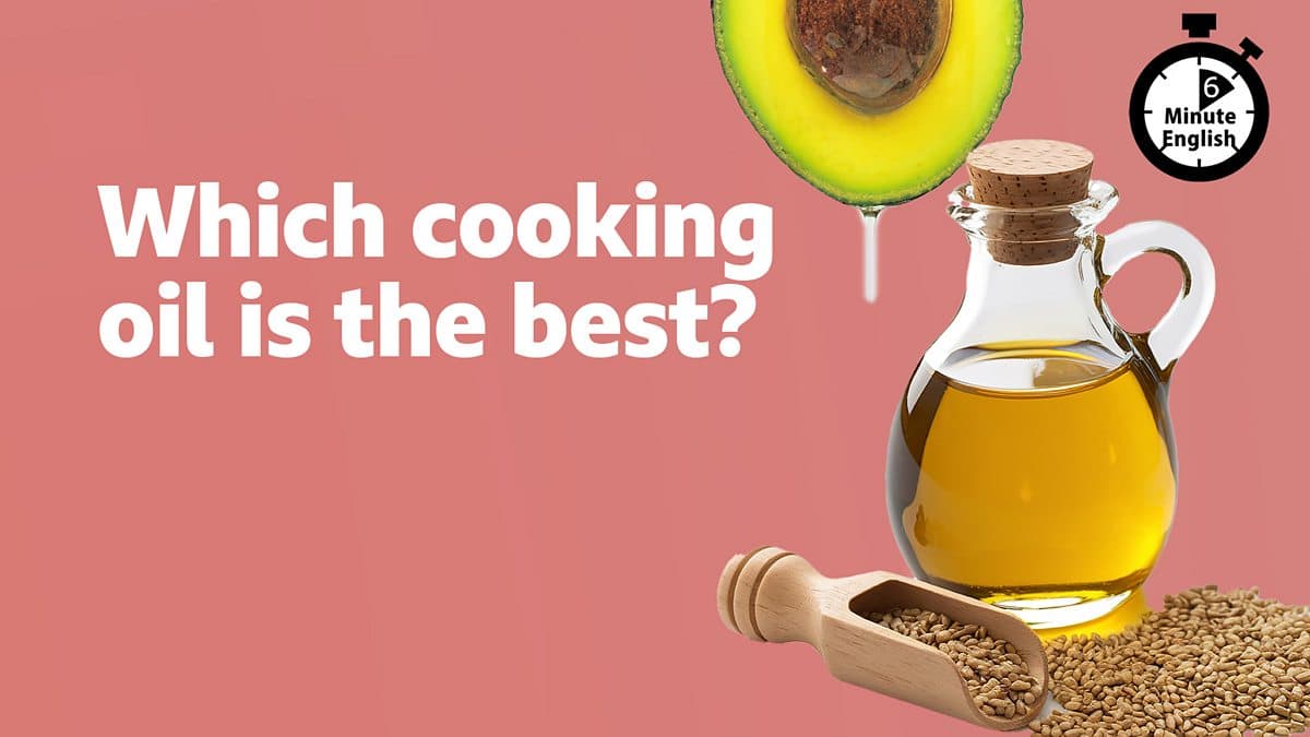 6 Minute English / Which cooking oil is the best?