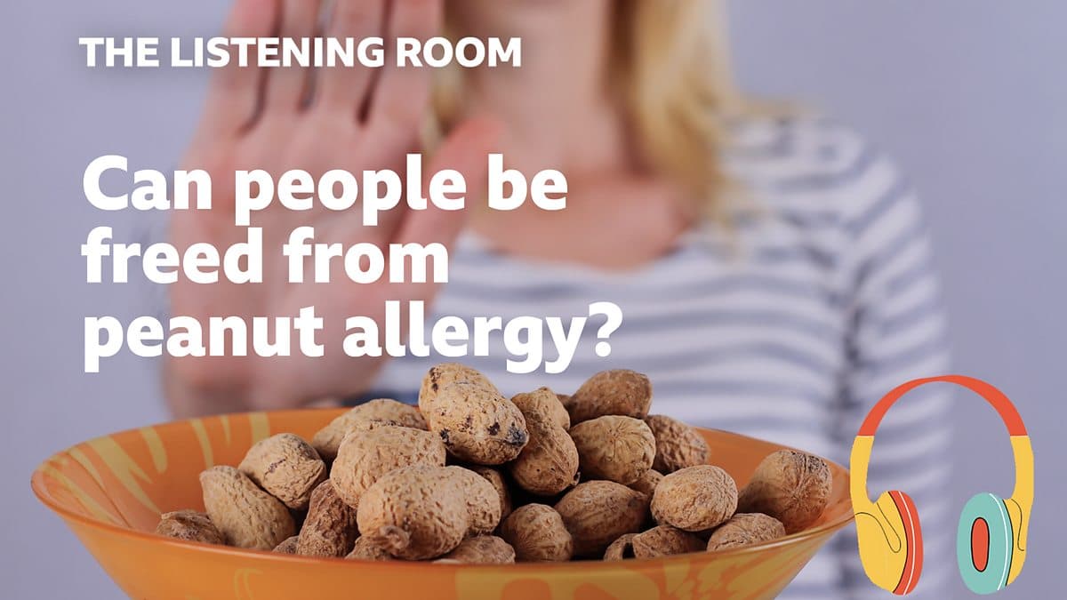 The Listening Room / Can people be freed from peanut allergy?