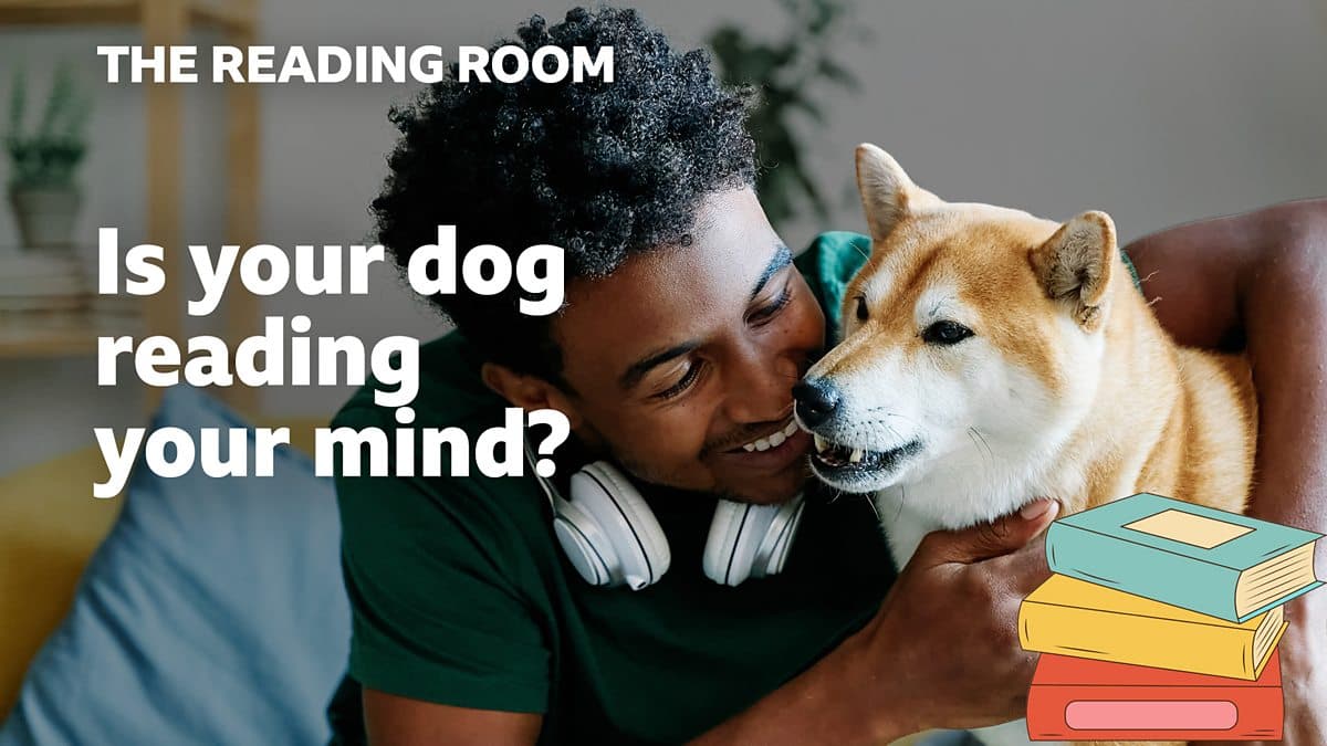 The Reading Room / Is your dog reading your mind?