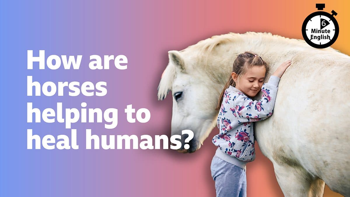 6 Minute English / How are horses helping to heal humans?