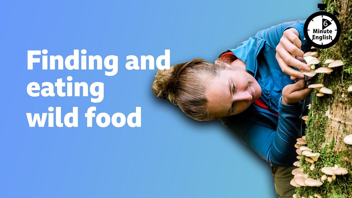 6 Minute English / Finding and eating wild food