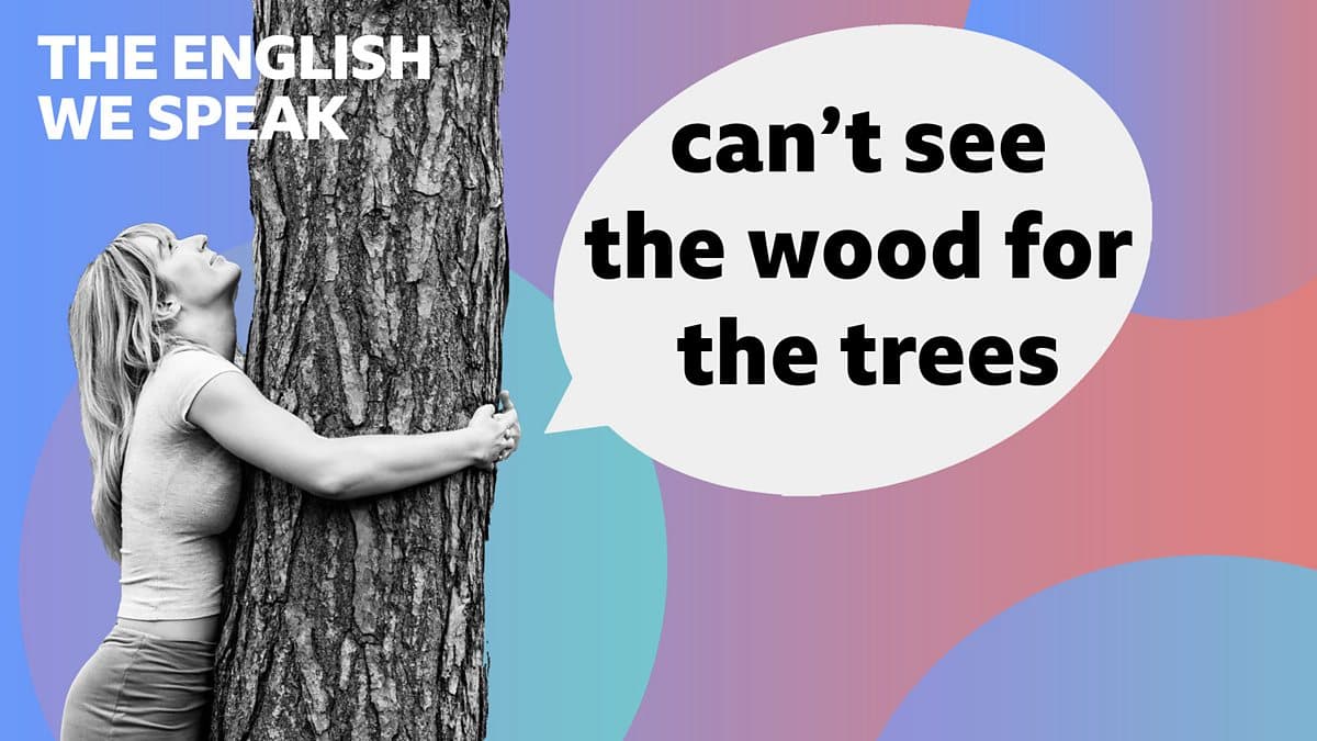 The English We Speak / Can't see the wood for the trees