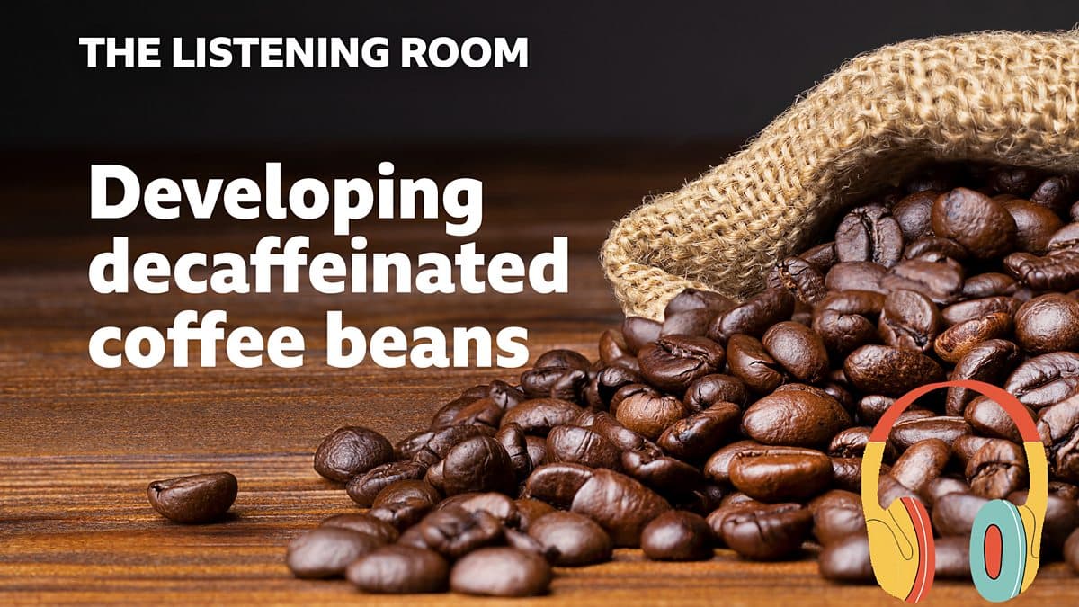 The Listening Room / Developing decaffeinated coffee beans