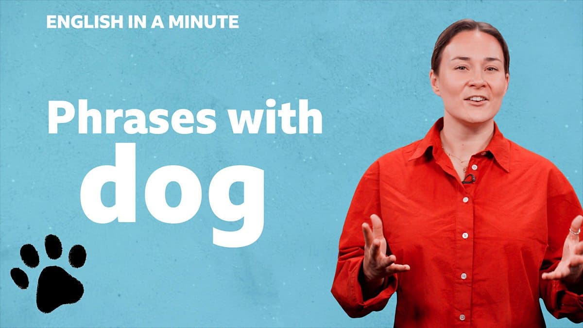 English in a Minute Series 5 / Phrases with 'dog'