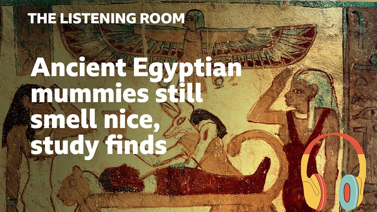 The Listening Room / Ancient Egyptian mummies still smell nice, study finds