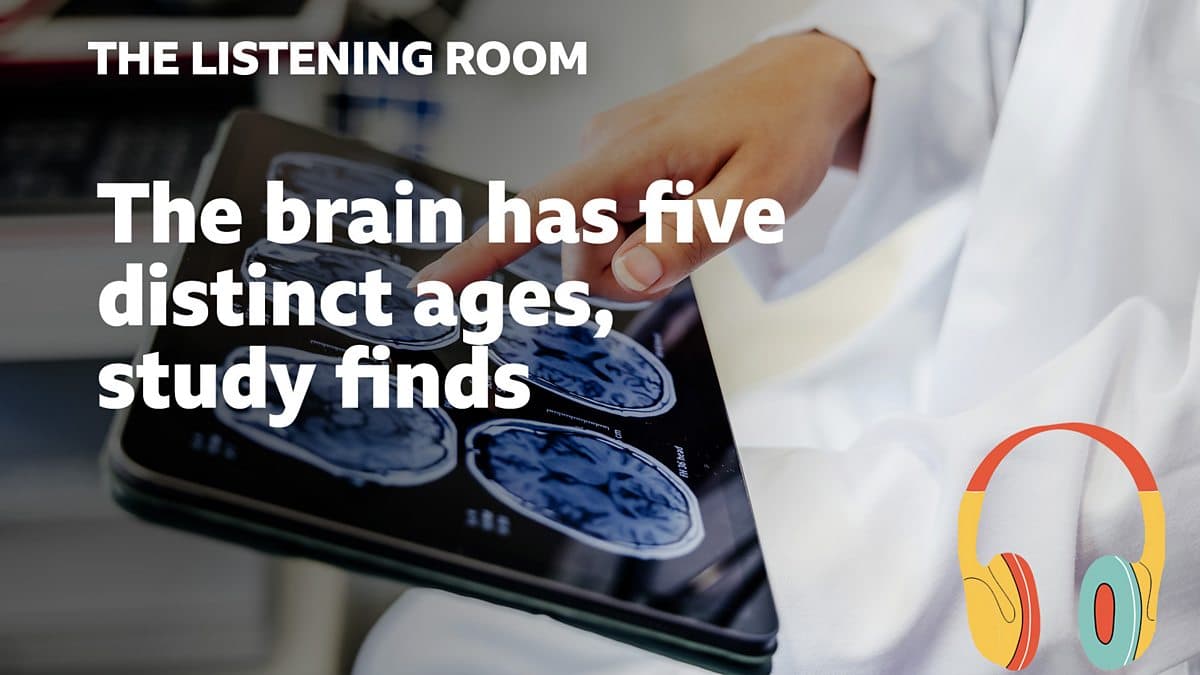 The Listening Room / The brain has five distinct ages, study finds