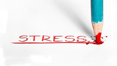 Course: English You Need / Unit 1 / Session 4 / Activity 1