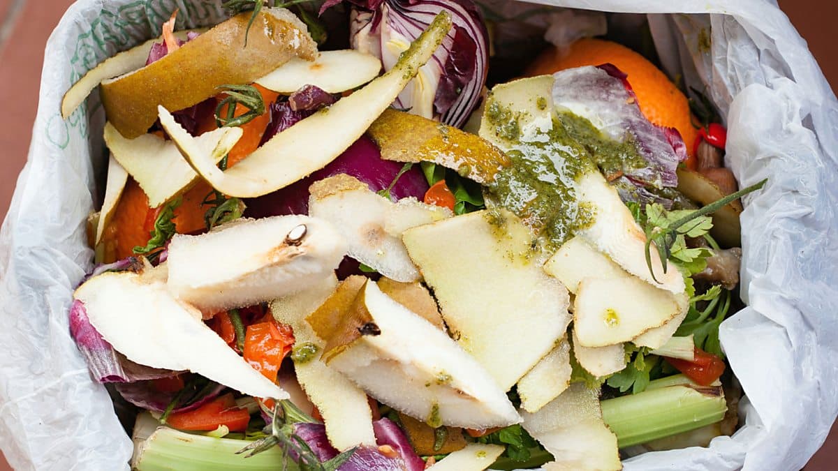 6 Minute English / How much food do you waste?