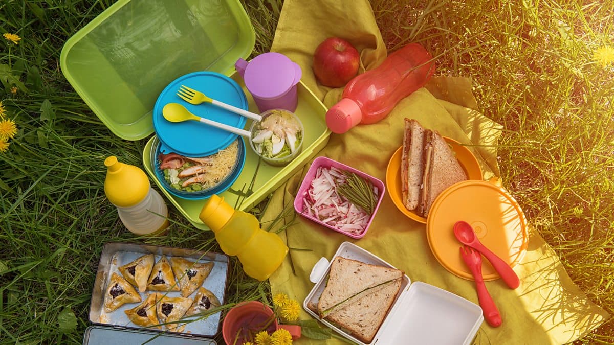 The English We Speak / No picnic