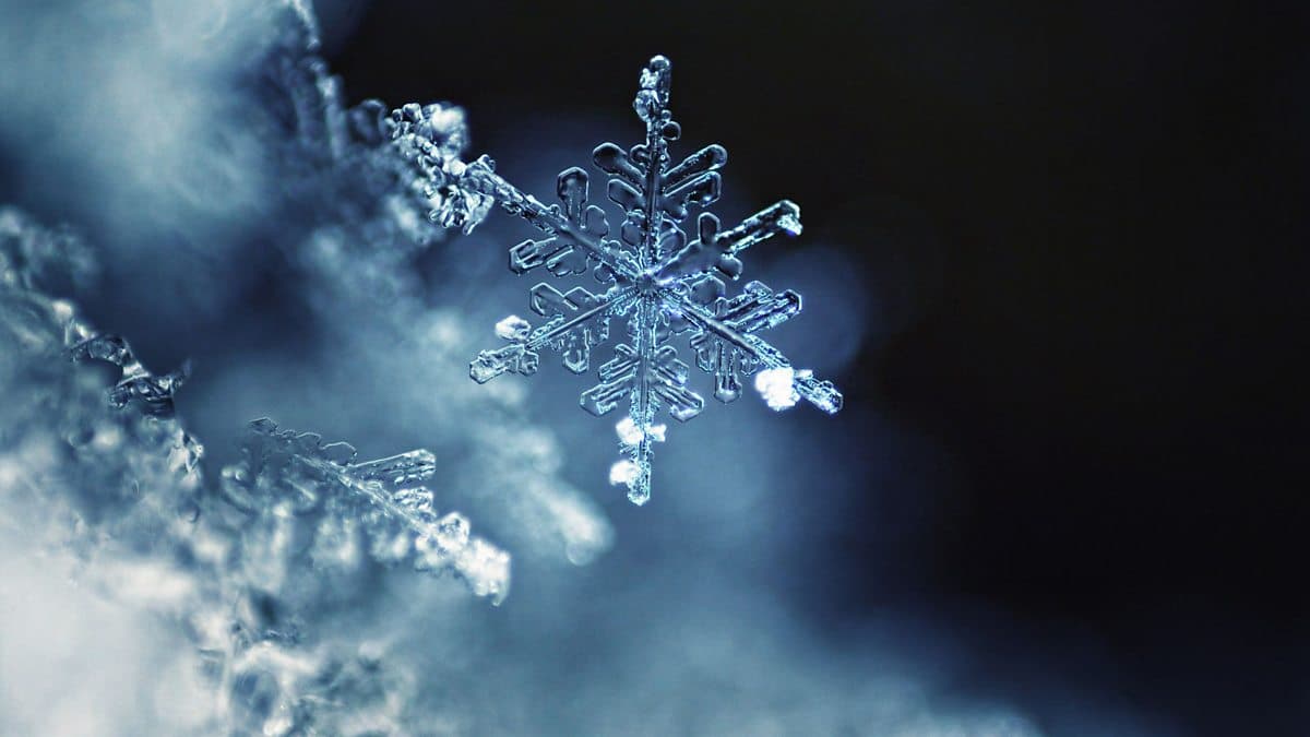 The English We Speak / Snowflake