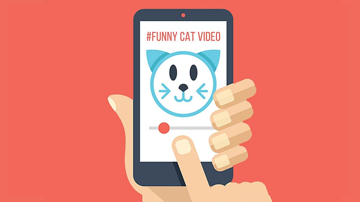 6 Minute English / What makes a video go viral?