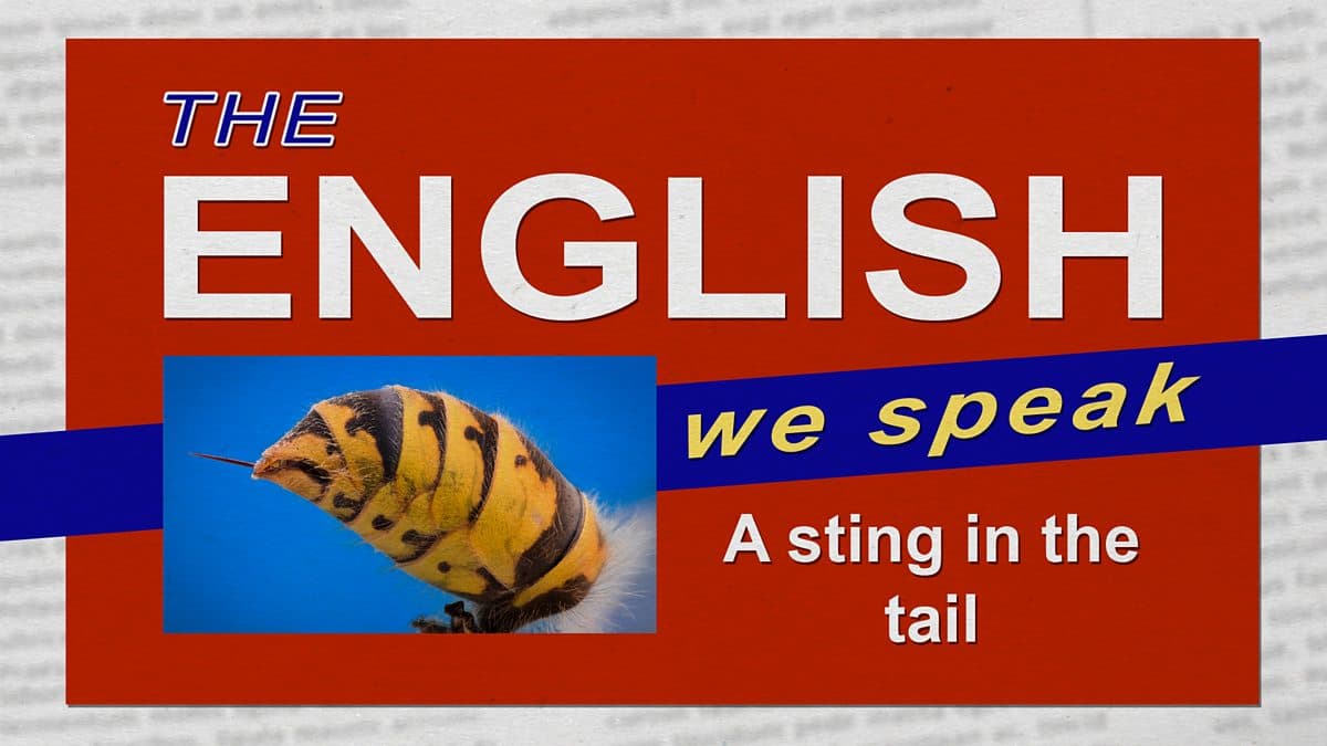 The English We Speak / A sting in the tail