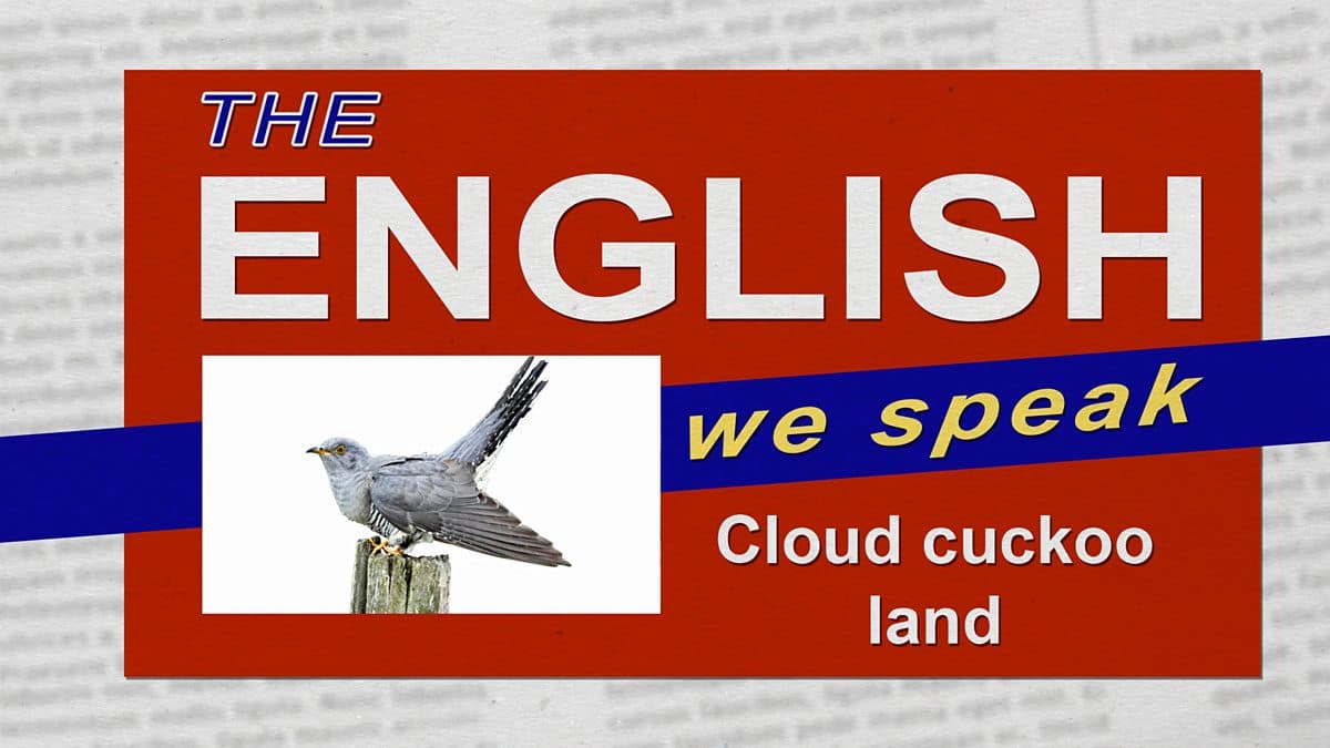 The English We Speak / Cloud cuckoo land
