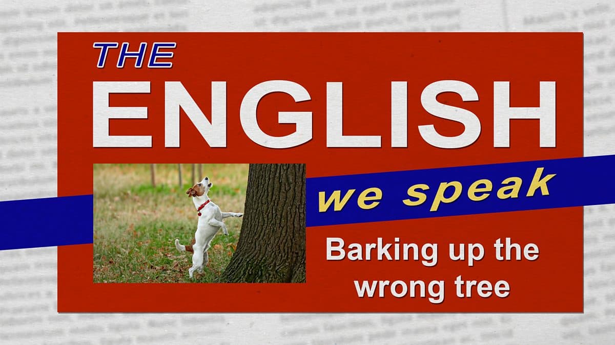 The English We Speak / Barking up the wrong tree