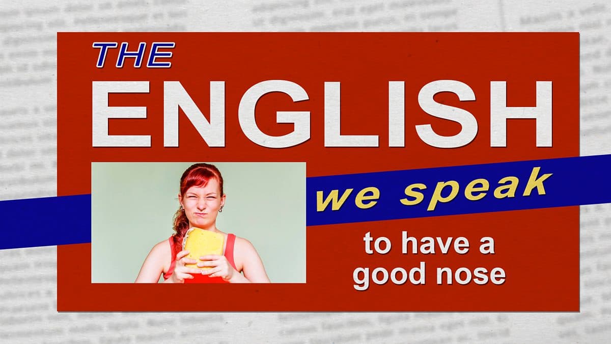 The English We Speak / To have a good nose (for something)