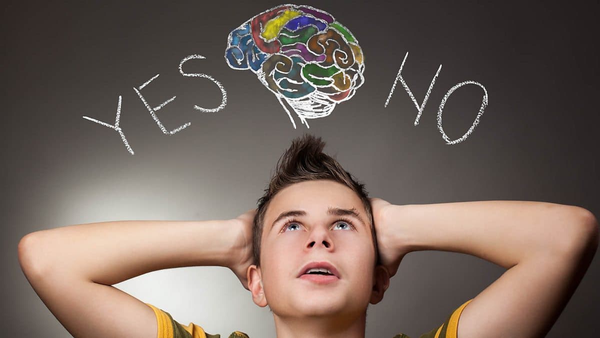 6 Minute English / The teenage brain