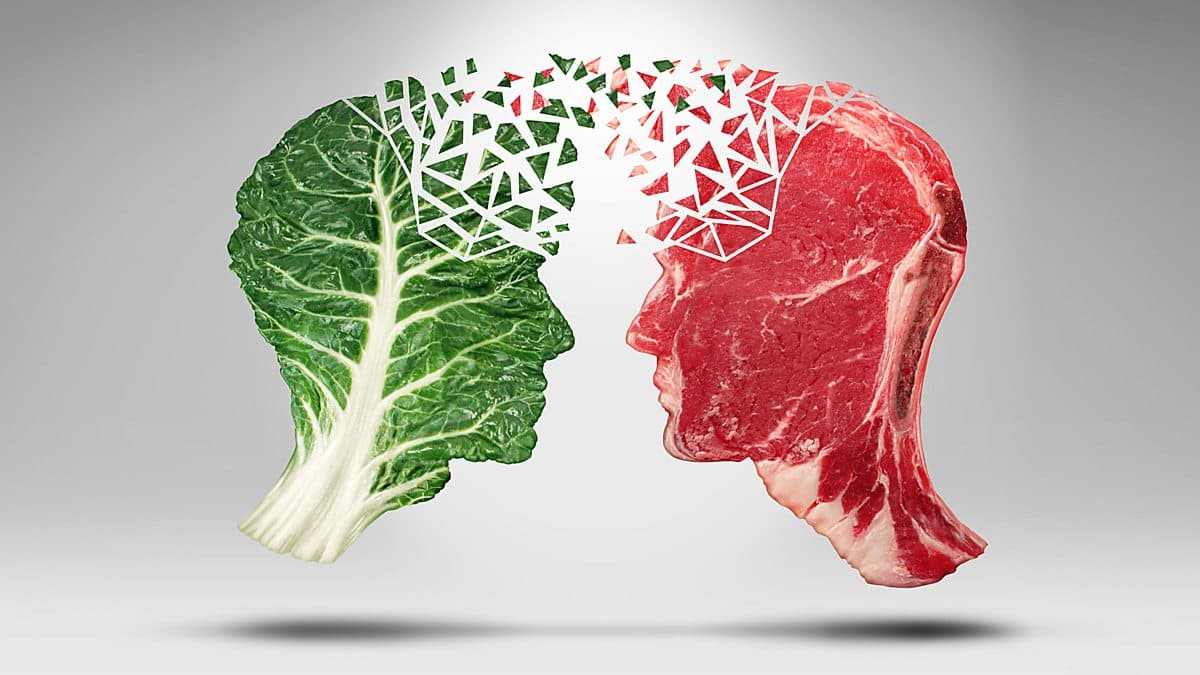 6 Minute English / Debating veganism: How to change someone's opinion