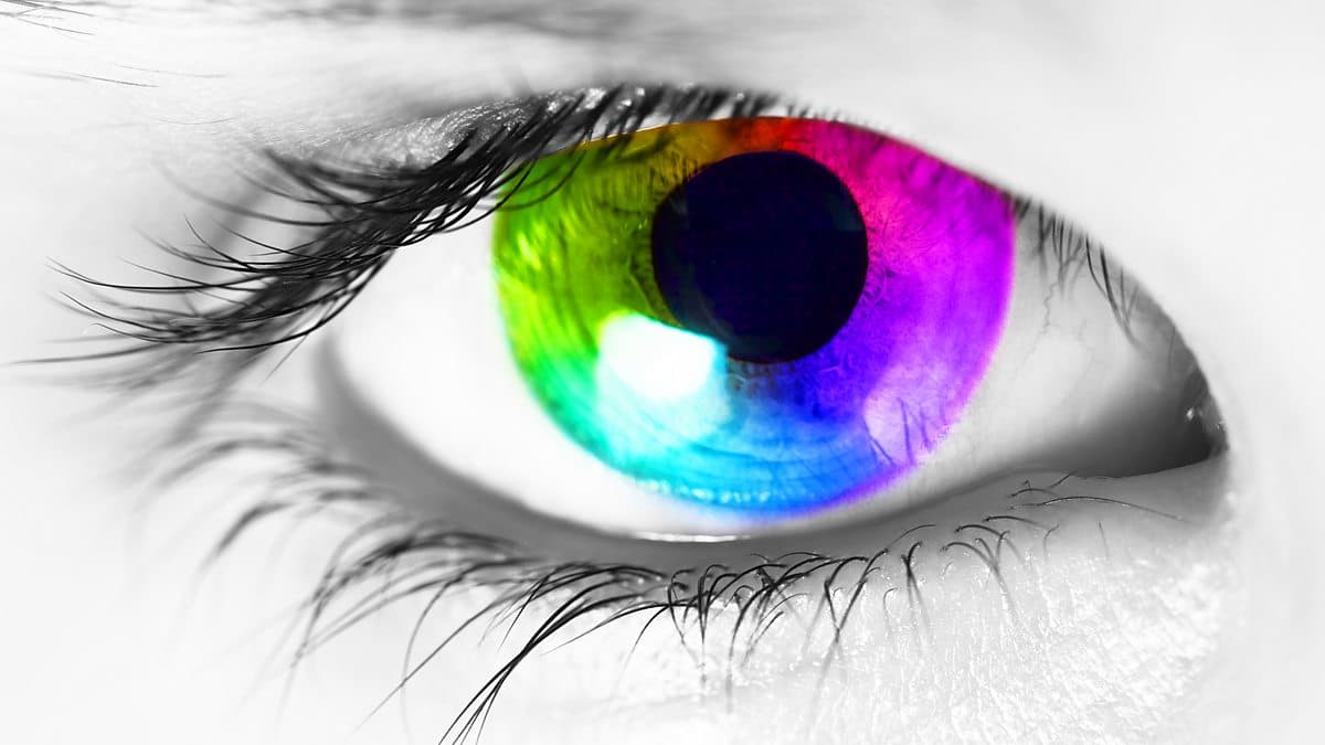 6 Minute English / How your eyes predict your personality