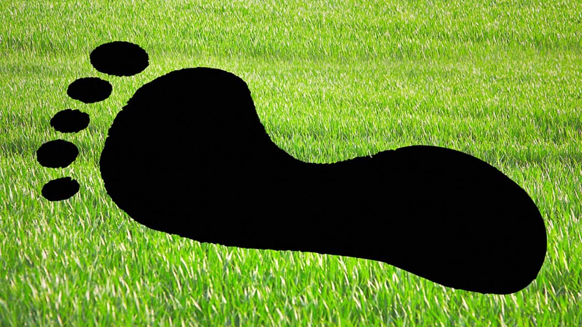 The English We Speak / Carbon footprint