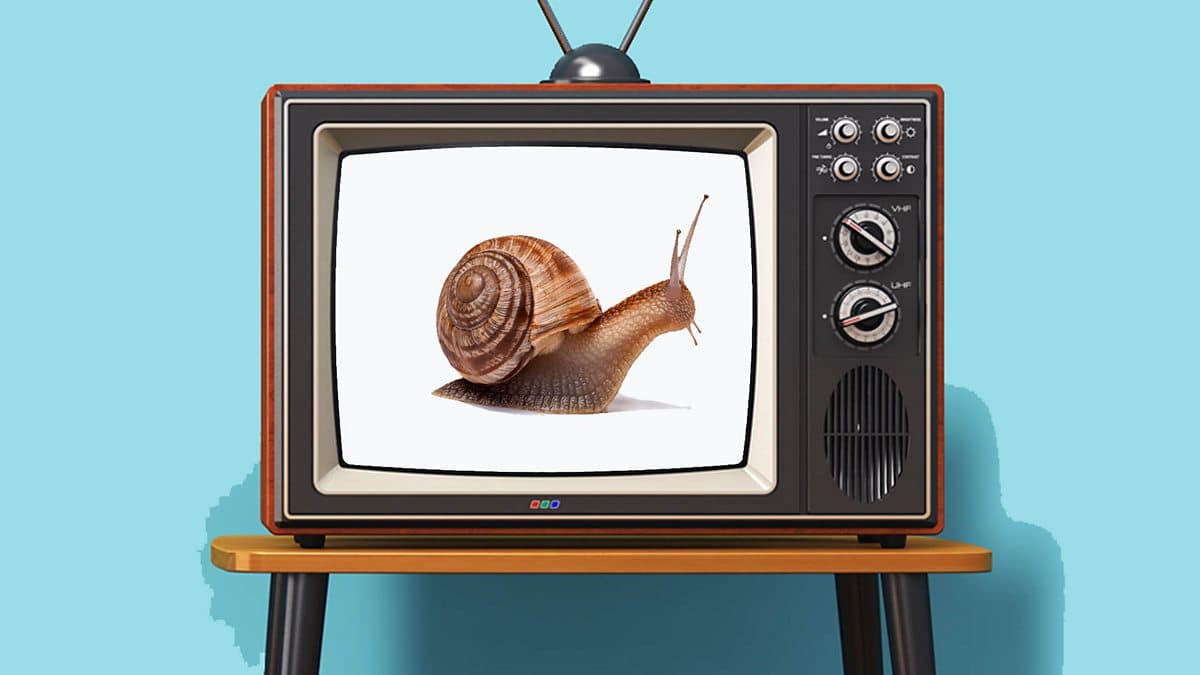 The English We Speak / Slow TV