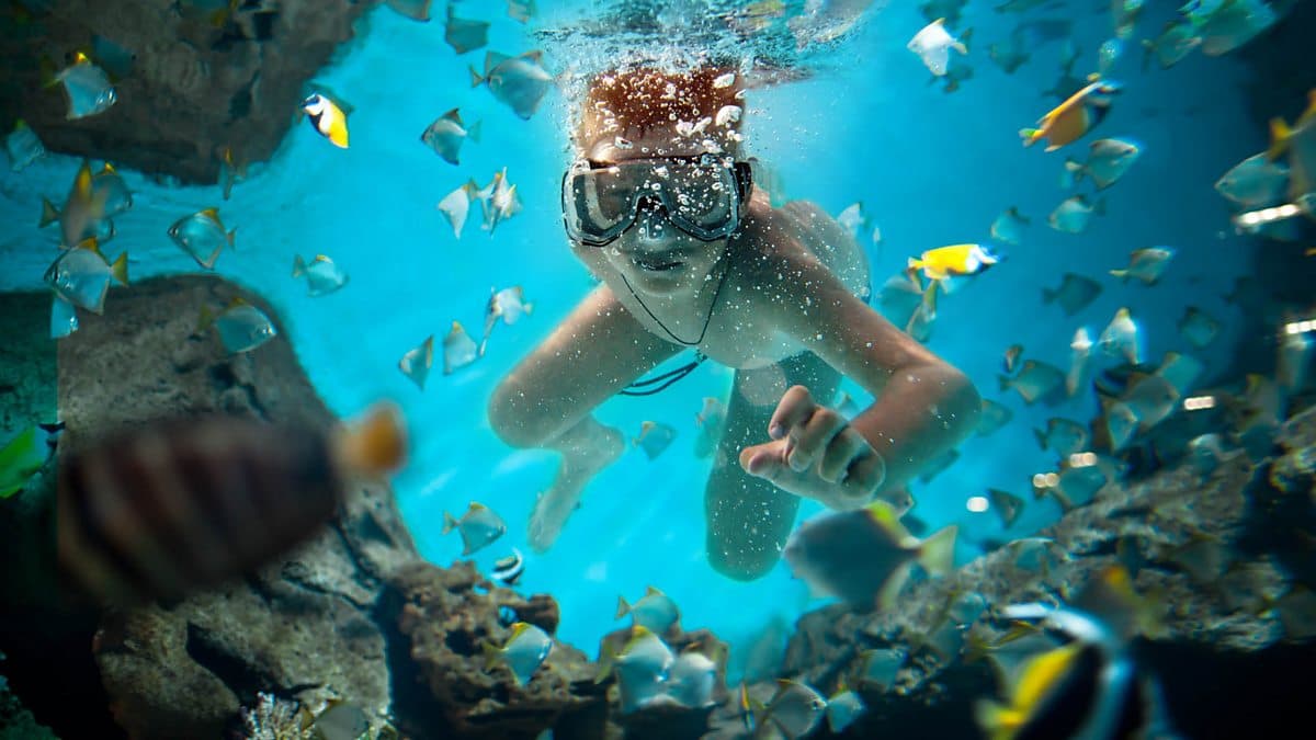 6 Minute English / The joy of free diving