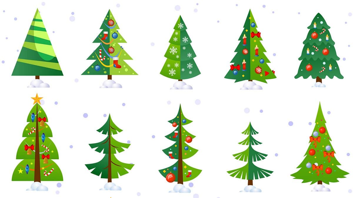 6 Minute English / Fake or real: What’s the best tree to have at Christmas?