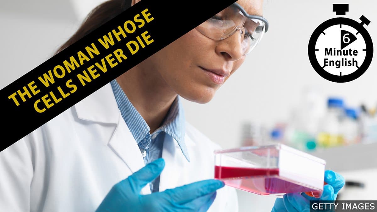 6 Minute English / The woman whose cells never die