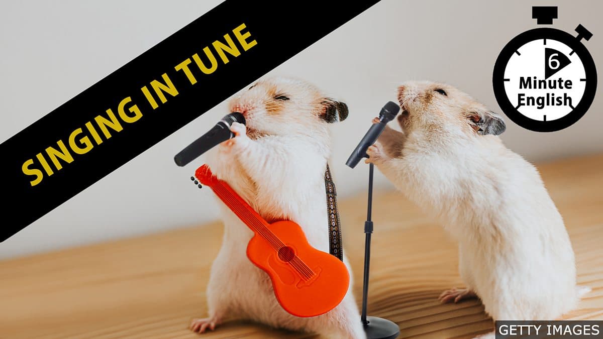 6 Minute English / Singing in tune