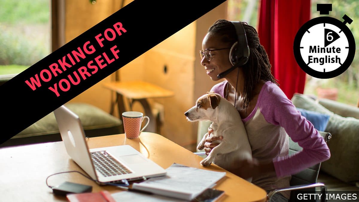 6 Minute English / Working for yourself