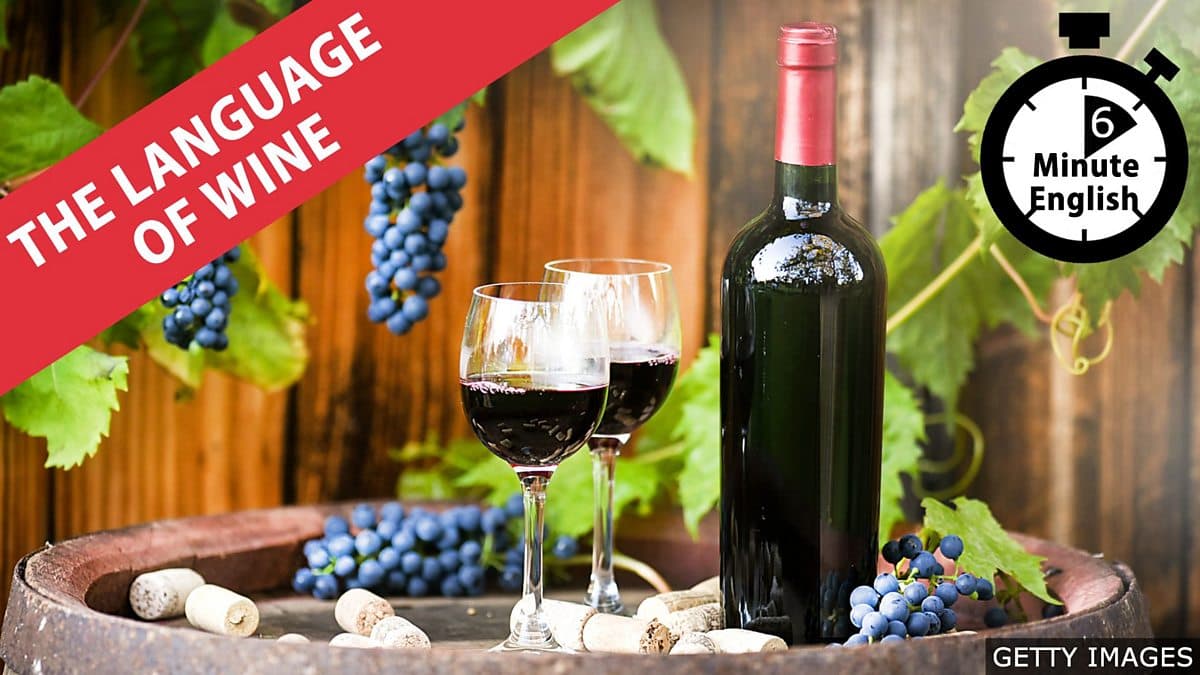 6 Minute English / The language of wine