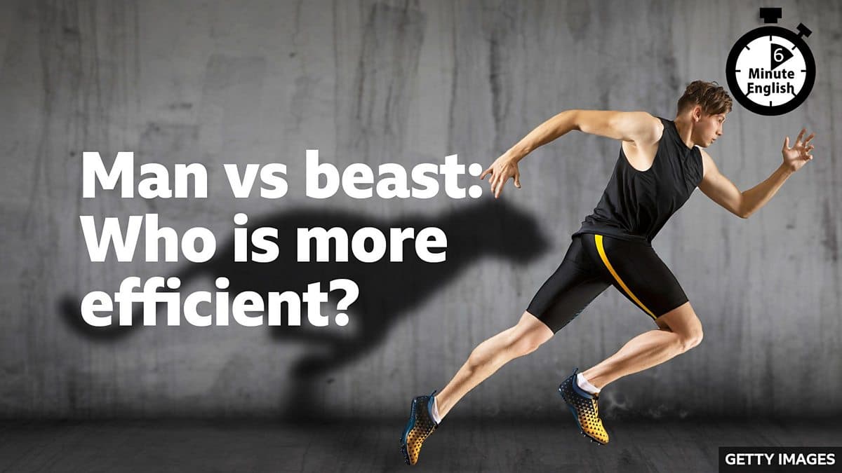 6 Minute English / Man vs beast: Who is more efficient?