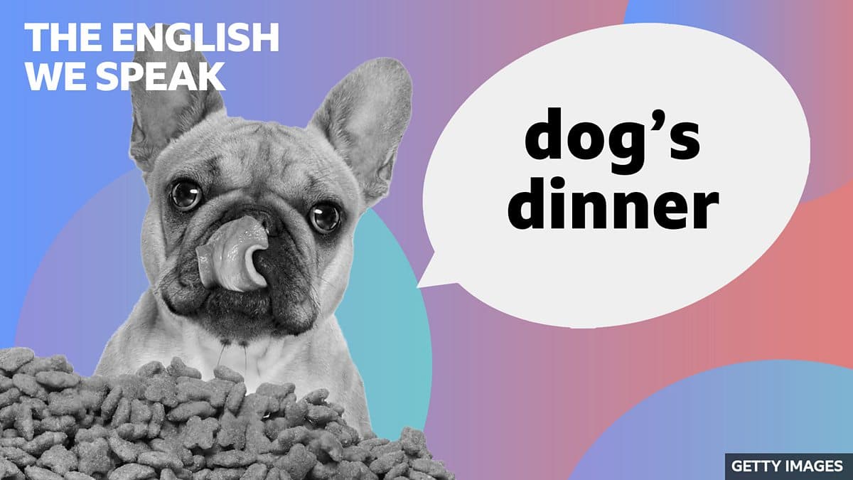 The English We Speak / Dog's dinner