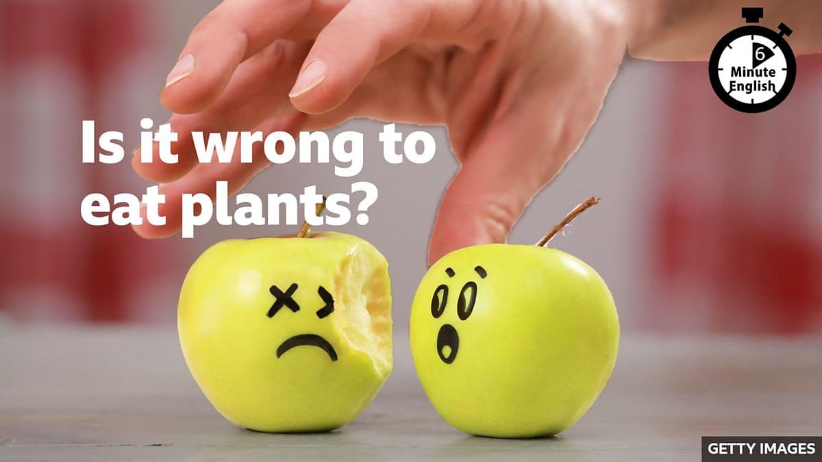 6 Minute English / Is it wrong to eat plants?