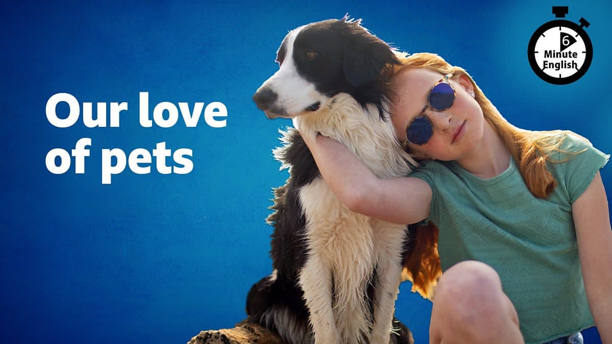 6 Minute English / Our love of pets