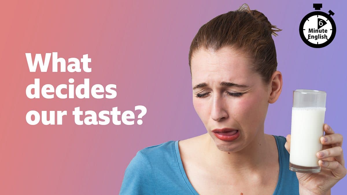6 Minute English / What decides our taste?