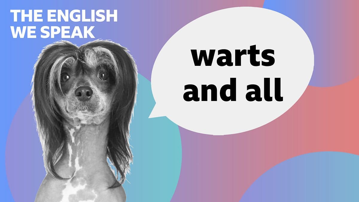 The English We Speak / Warts and all
