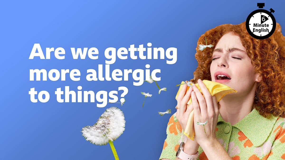 6 Minute English / Are we getting more allergic to things?