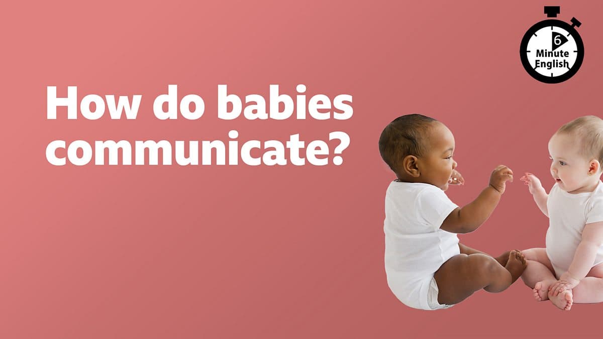 6 Minute English / How do babies communicate?